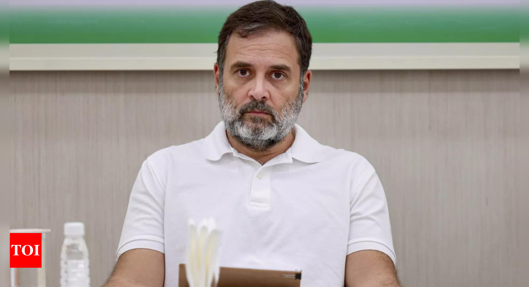 'Frequent visits are curious': BJP slams Rahul Gandhi for visiting Vietnam 'more than his constituency'