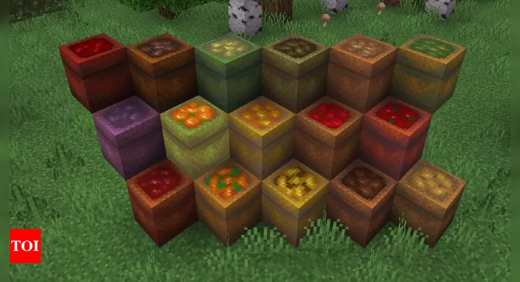 Types and uses of Blocks in Minecraft