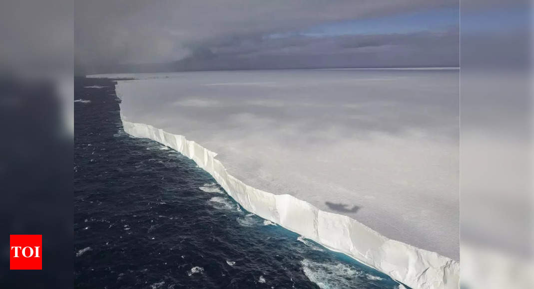 Megaberg 5 times bigger than Everest is drifting toward South Georgia: Is ‘Titanic II’ disaster looming? Watch video