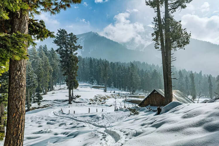 Pahalgam, Jammu and Kashmir
