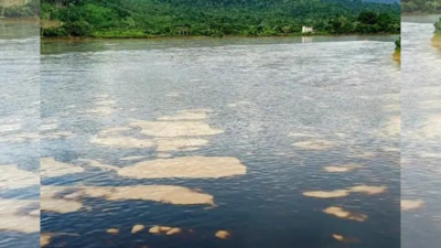 Oil spill in Ecuador river brings emergency declaration