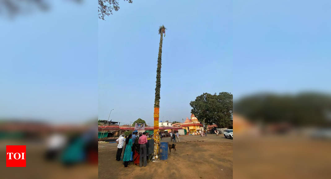 Gade utsav in Sal: Gratitude to guardian spirits of nature