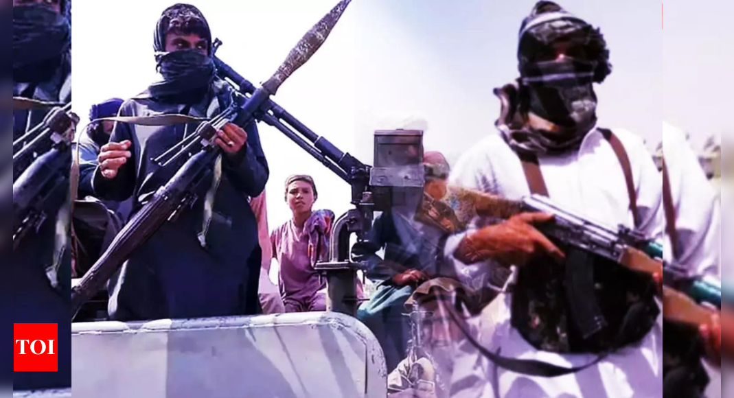 TTP launches ‘operation’ for Shariah rule – The Times of India