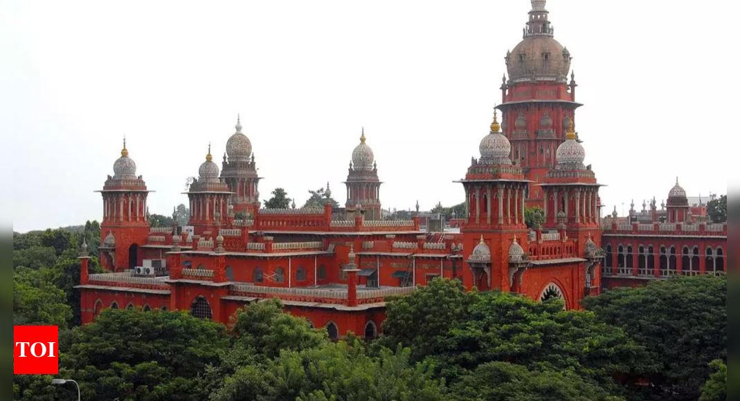 'Do child's medical exam only in case of penetrative assault': Madras high court to doctors