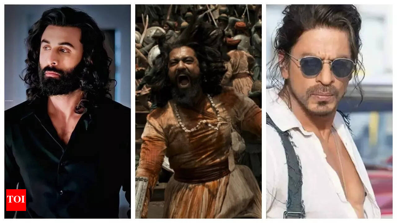 Vicky Kaushals Chhaava becomes the 8th biggest hit of Indian cinema,  beating Ranbir Kapoors Animal and Shah Rukh Khans Pathaan | Hindi Movie  News - The Times of India