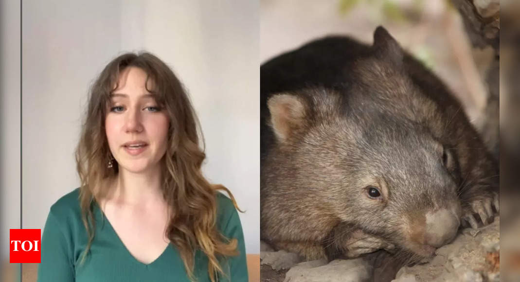 US influencer, who snatched baby wombat in Australia issues apology; later asks 'Am I a villain?'