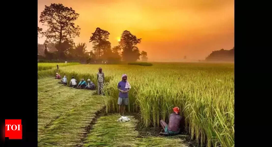 AP govt’s RySS expands natural farming pilot in Zambia | Vijayawada ...