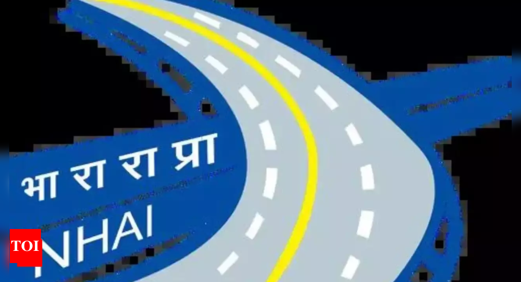 In move to decongest Ring Road, NHAI to build elevated corridor between INA and Nelson Mandela Marg