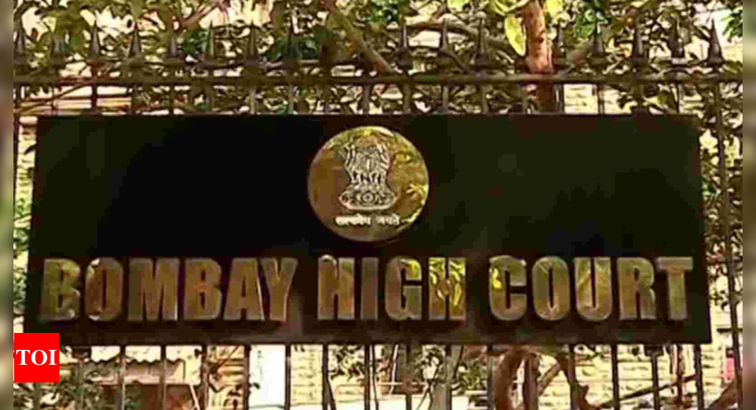 Decide on Rs 5 crore for woman in vegetative state after 2017 crash: Bombay HC 