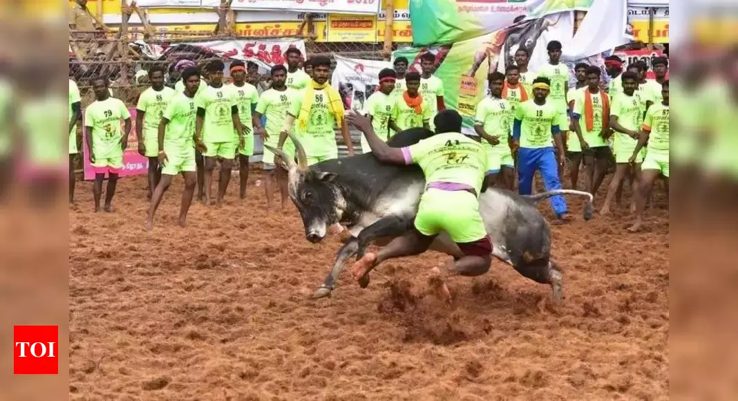 Bull-tamer gored to death at TN Jallikattu event