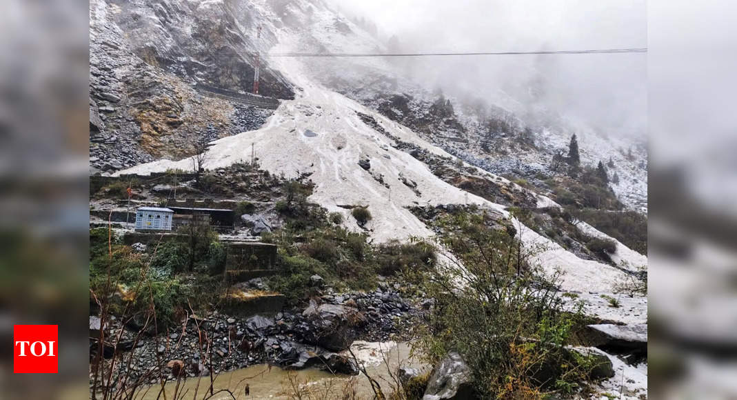 Study: Western Himalayas avalanche risks up due to warming, human activities