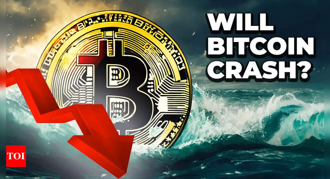 Will Bitcoin price crash to $20,000? Peter Schiff makes big prediction if Nasdaq enters bear market phase