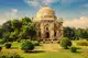 Spring in Delhi: 6 must-visit parks and gardens this season