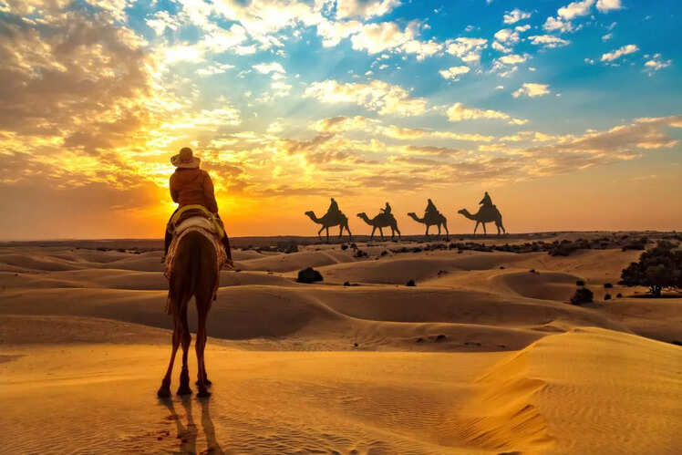 DIY Desert Safari