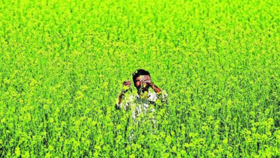 Parliamentary panel proposes minimum support price for organic crops, says MSP will incentivise transition to natural farming