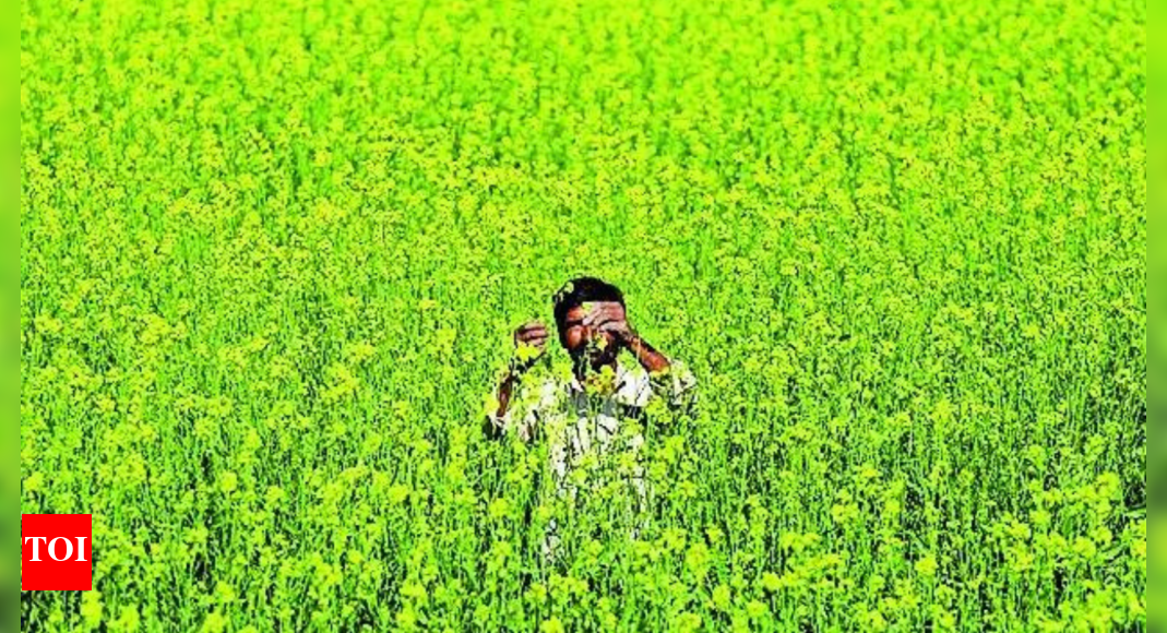 Parliamentary panel proposes minimum support price for organic crops, says MSP will incentivise transition to natural farming