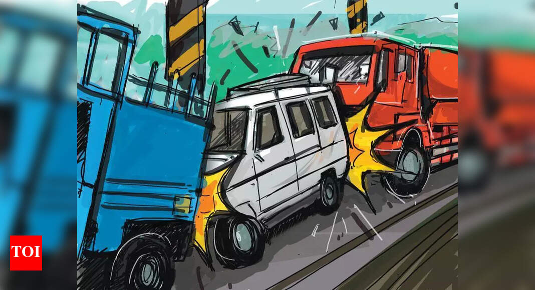 3 of family from T die in US crash as truck on wrong side rams SUV ...