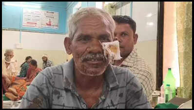 ‘Mr Natwarlal’ of Bramhapuri fights tiger for 10min, survives