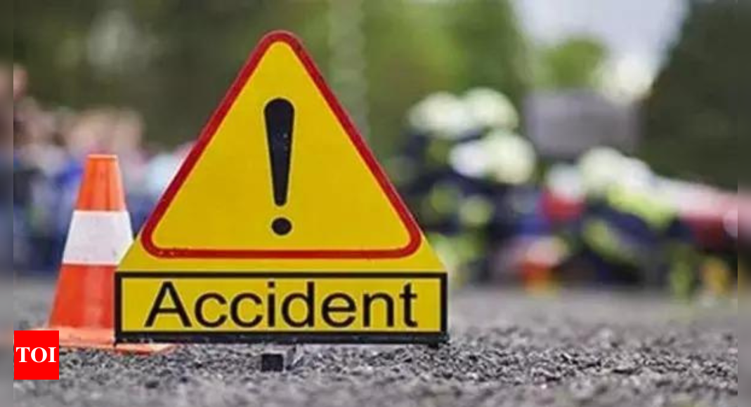 3 of Telangana family killed in US car crash