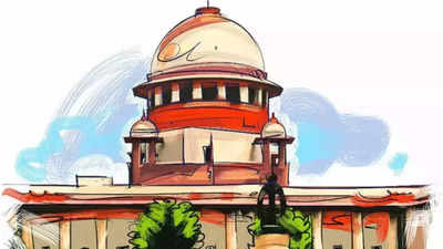 Constituent Assembly settled CAG debate: Supreme Court