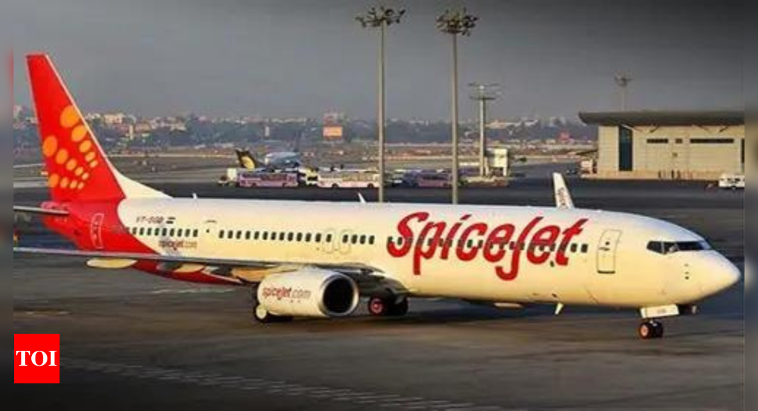 SpiceJet's Singh to infuse Rs 294 crore, up stake to 34%