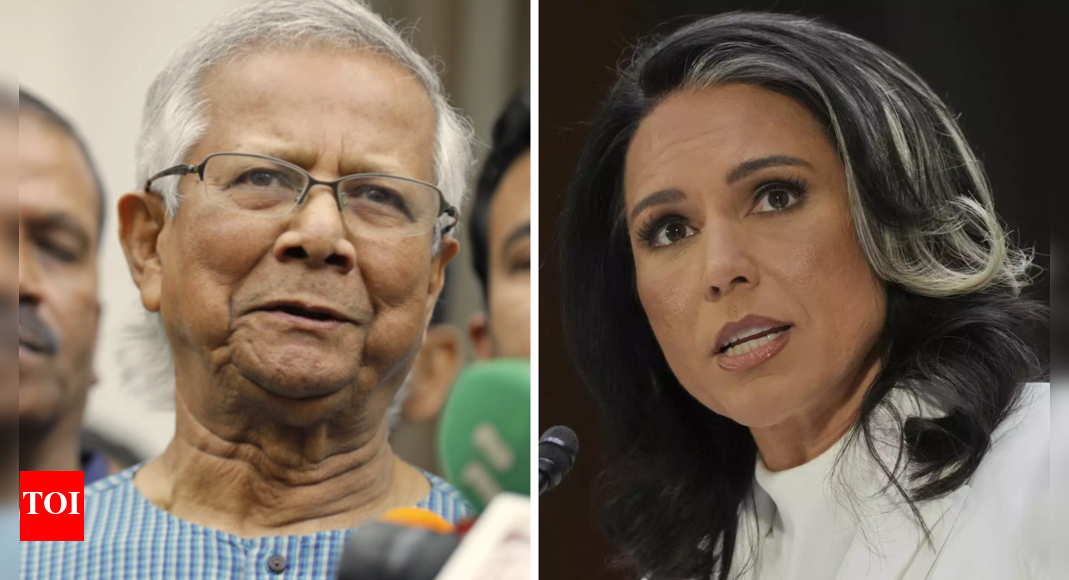 'Misleading and damaging': Bangladesh slams US intel chief Tulsi Gabbard remark on minority persecution