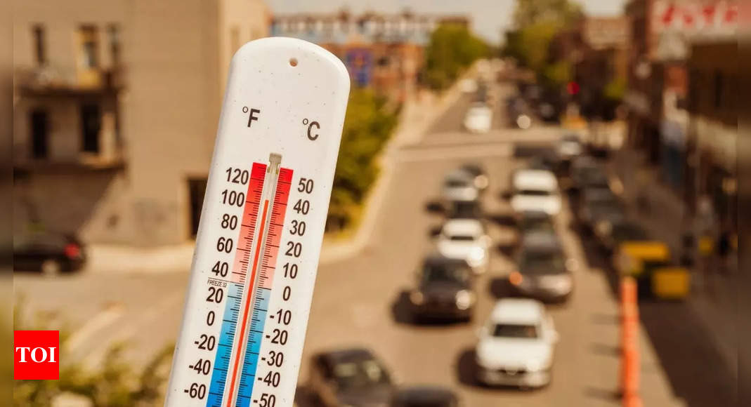 Heatwave alert: Delhi to soar to 40 degrees Celsius, heavy rain expected in Northeast; check travel advisory