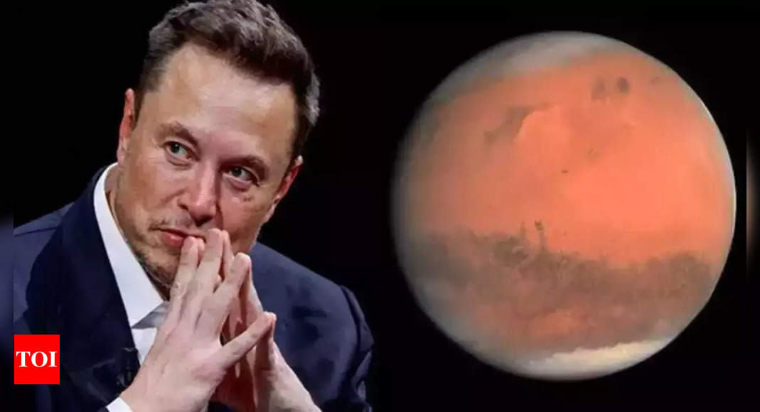 Elon Musk predicts when humans will reach Mars: 