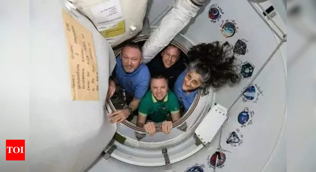 Nick Hague and Aleksandr Gorbunov: All about the astronauts bringing Sunita Williams and Butch Willmore back to Earth – The Times of India