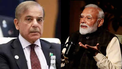  MEA slams Pakistan for calling PM Modi's remark 'misleading'