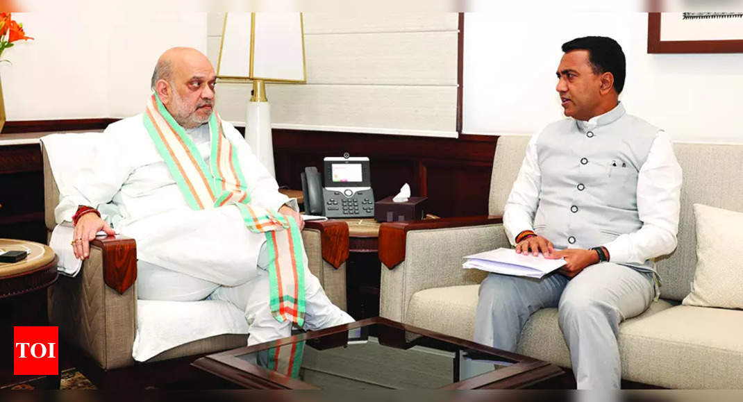 CM meets Union home minister, briefs him on hiring PPs, video hearings in jail