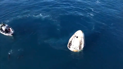  Dolphins welcome Crew-9 astronauts as Sunita William's spacecraft splashes down safely