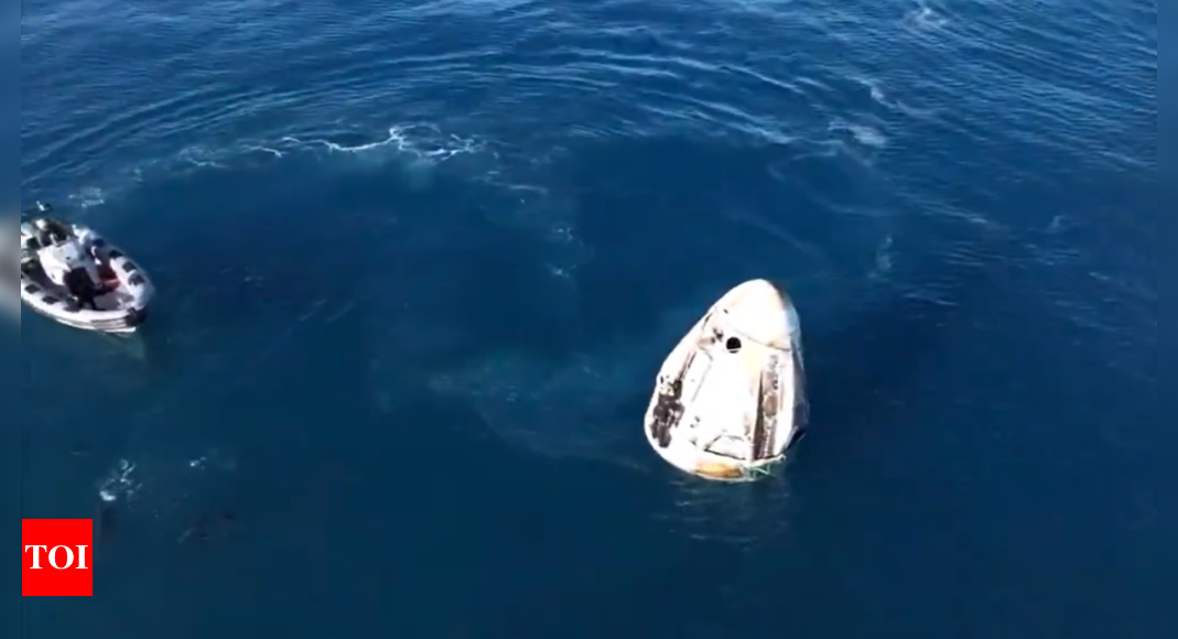 Watch: Dolphins welcome Sunita Williams as spacecraft splashes down safely