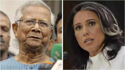 'Intellectually weak': French embassy reacts to claim of supporting Bangladesh over Tulsi Gabbard's statement