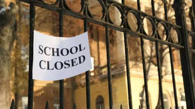 Will schools be closed on March 22 Karnataka Bandh? What we know so far