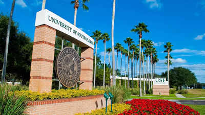 University of South Florida’s associate VP caught scheming to avoid DEI restrictions in Florida – The Times of India