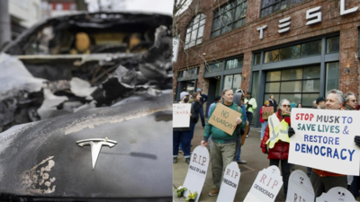 Tesla Fisla: Once an icon for libs, Musk vehicles now a hated MAGA symbol