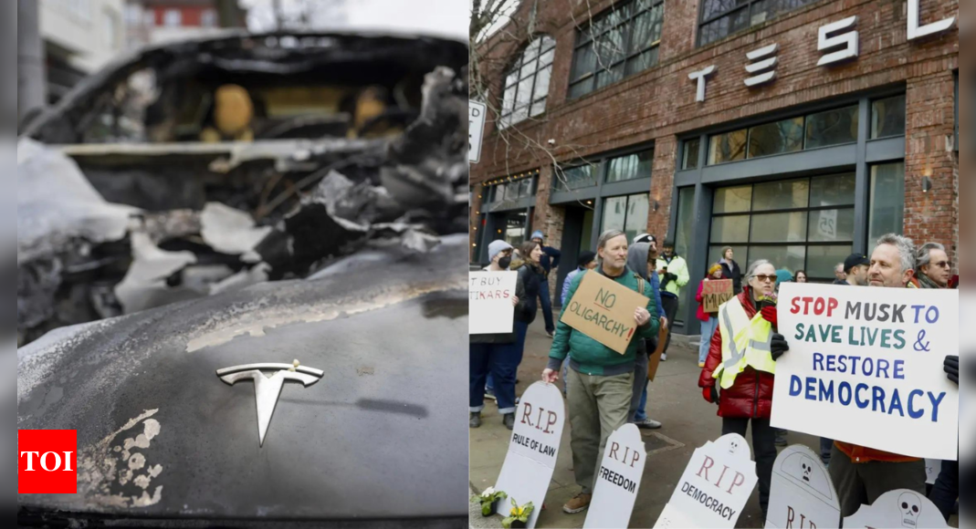 Tesla Fisla: Once an icon for libs, Musk vehicles now a hated MAGA symbol