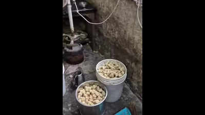 Dog meat found in momo-making unit of Punjab’s Mohali? DC says it is all just rumours