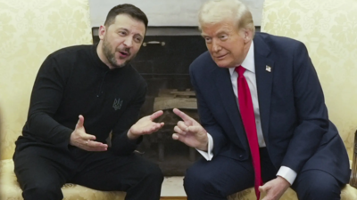 Donald Trump, Zelenskyy discuss ceasefire as US eyes role in Ukraine's energy infrastructure