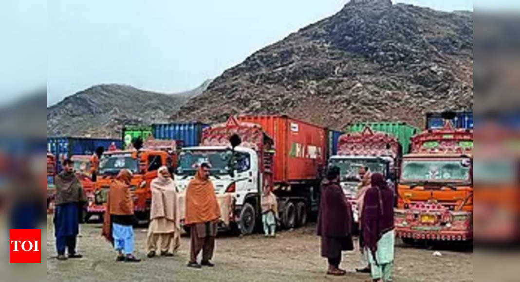 Torkham border crossing between Pakistan, Afghanistan reopens after 25 days