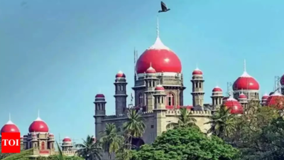 Telangana HC pulls up HYDRAA for 'selective approach'