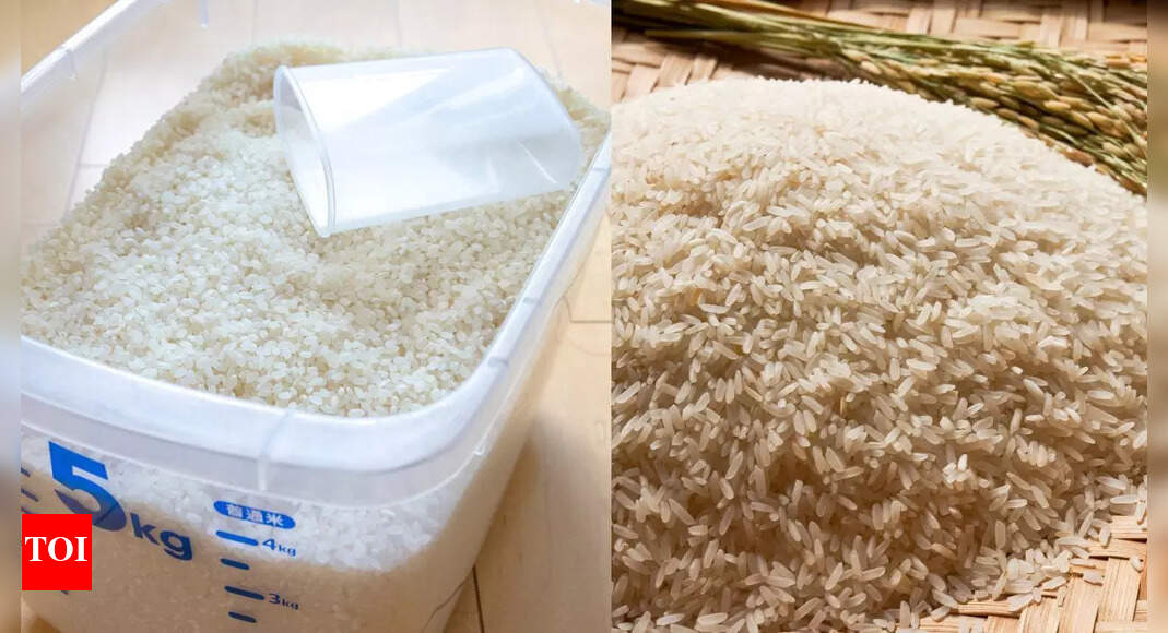 Can rice go bad? - The Times of India
