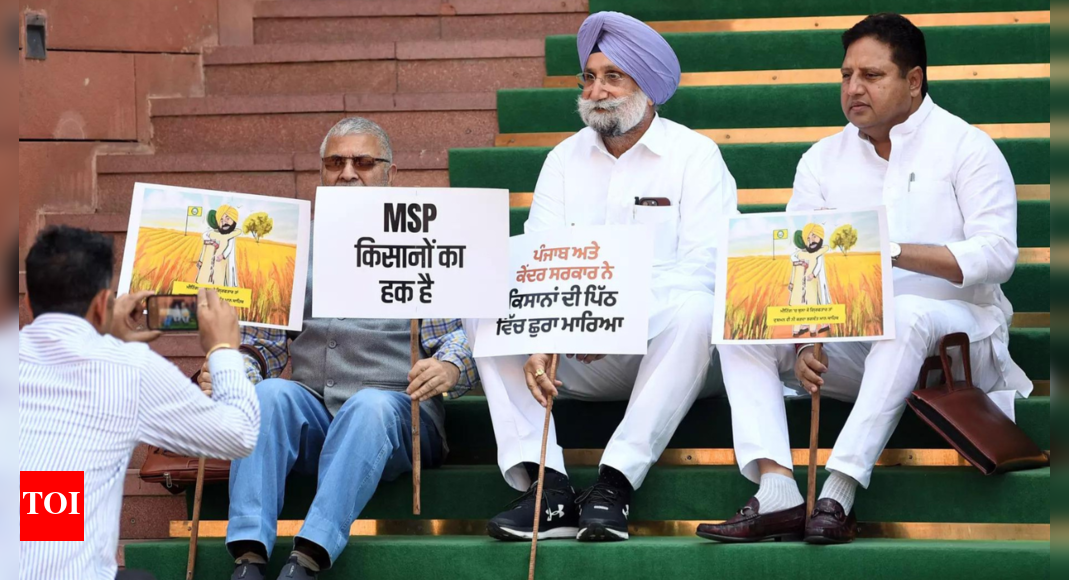 Congress MPs protest against police crackdown on farmers at Punjab borders