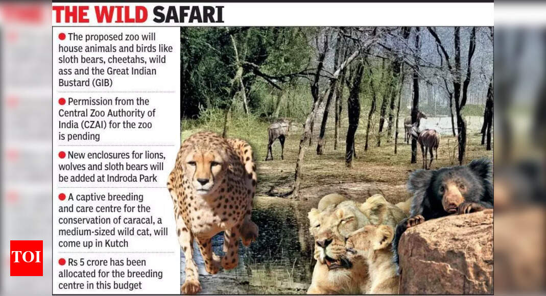 Desert-themed zoo to come up in Deesa, Indroda Park to get new ...