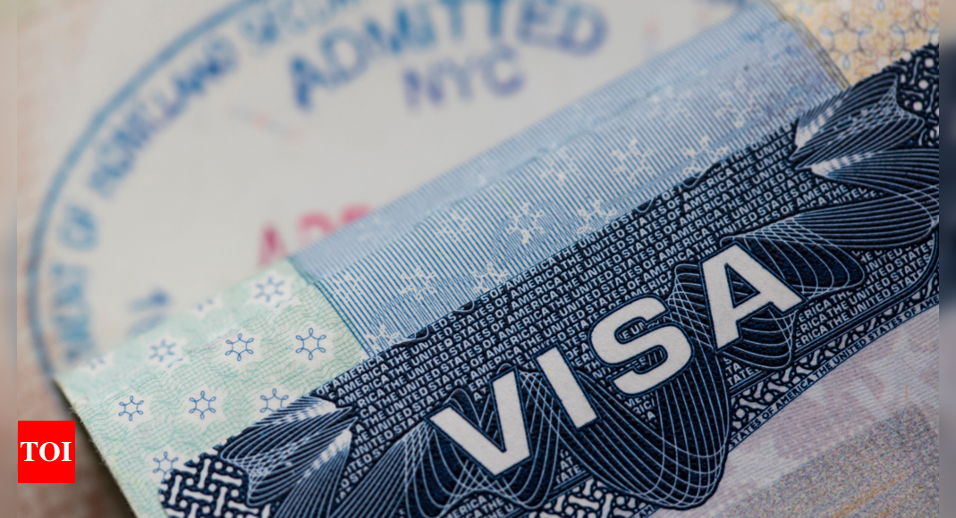 'Fraudulent info, misrepresentations': How US embassy detected visa fraud by agents