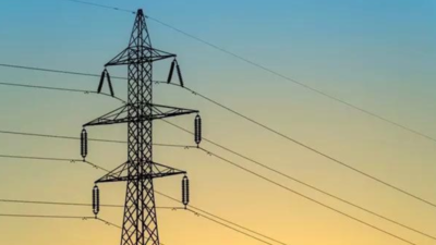Bombay suburban electric supply limited (BSES) urges Delhiites to turn off power during Earth Hour