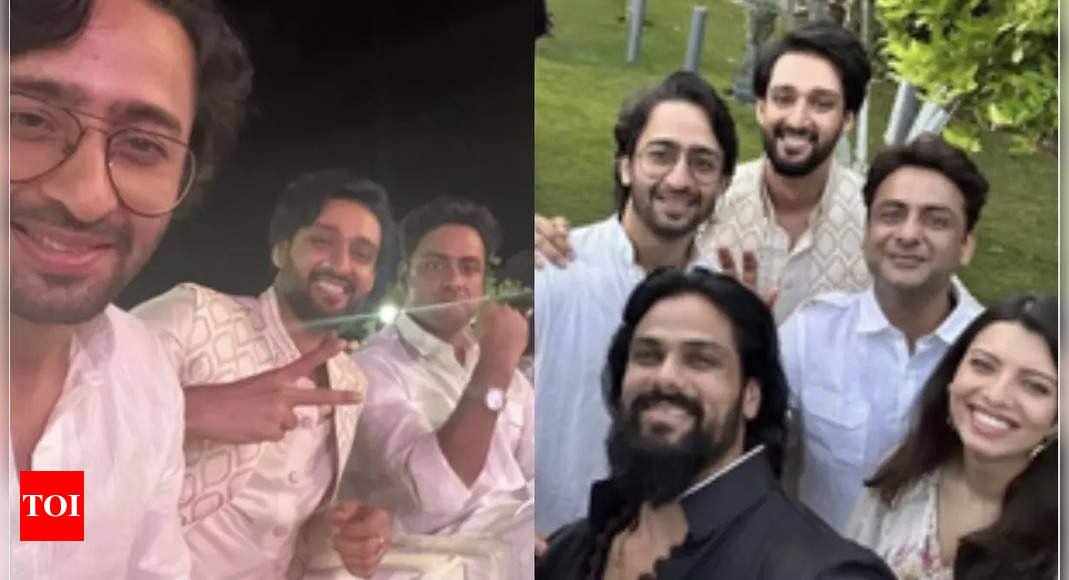 Mahabharat’s Saurabh Raaj Jain, Shaheer Sheikh, Rohit Bhardwaj and others reunite; see pics