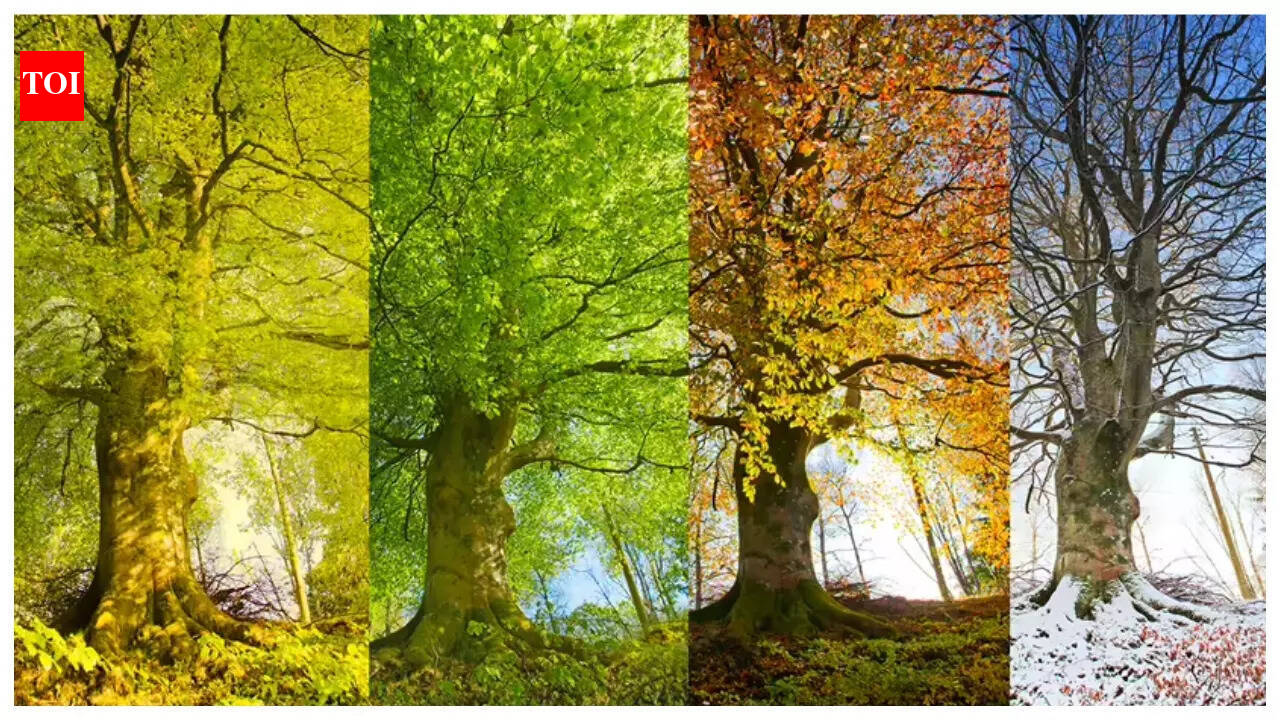5 health tips one must follow in the months of March-April