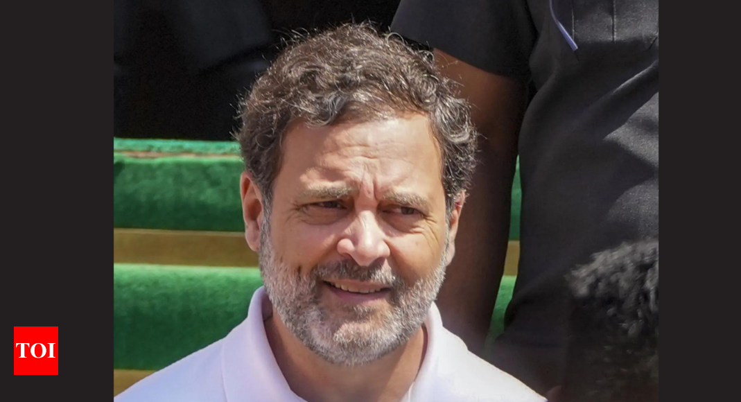 'Politically unfit, dolt': BJP slams Rahul Gandhi over merit remark, Karnataka quota